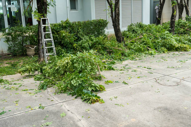 Best Lawn Mowing  in Sonora, CA